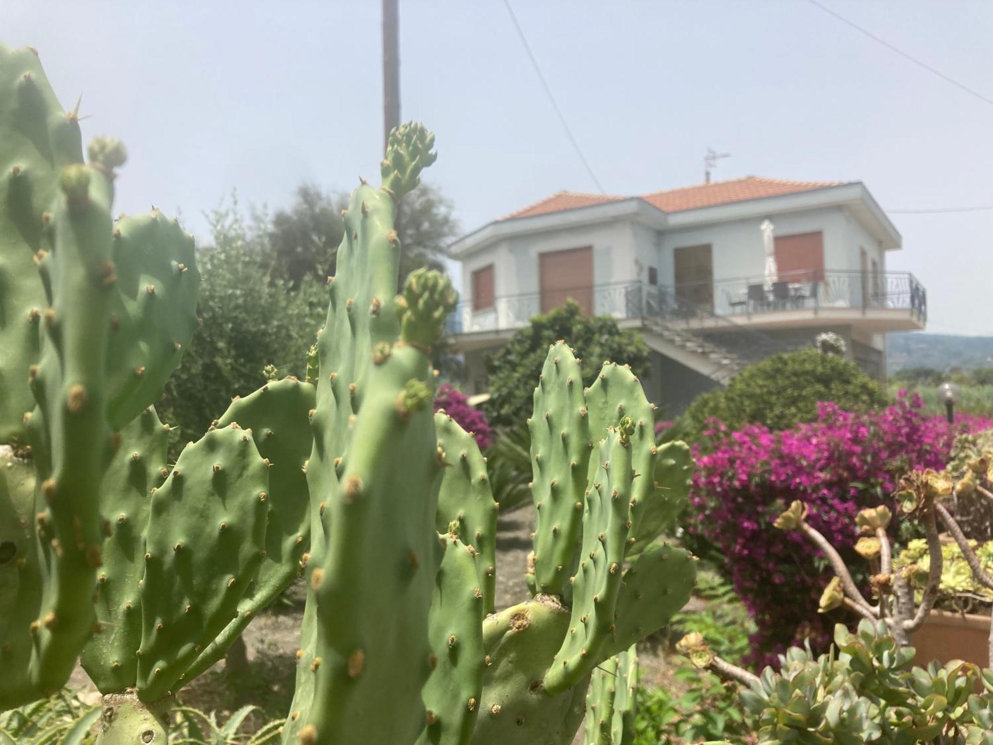 Villa Con Piscina Esclusiva Vista Etna Mascali Zewnętrze zdjęcie