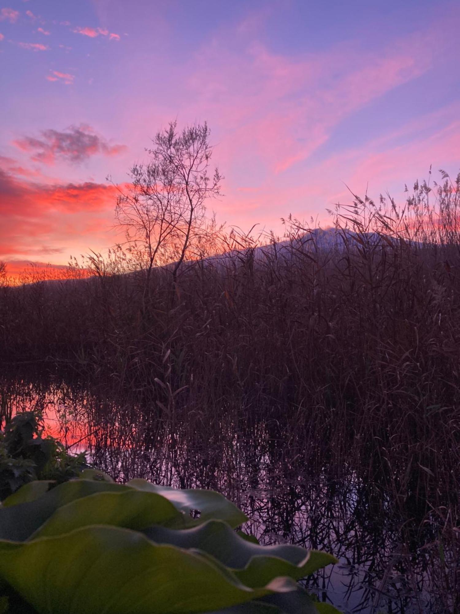 Villa Con Piscina Esclusiva Vista Etna Mascali Zewnętrze zdjęcie