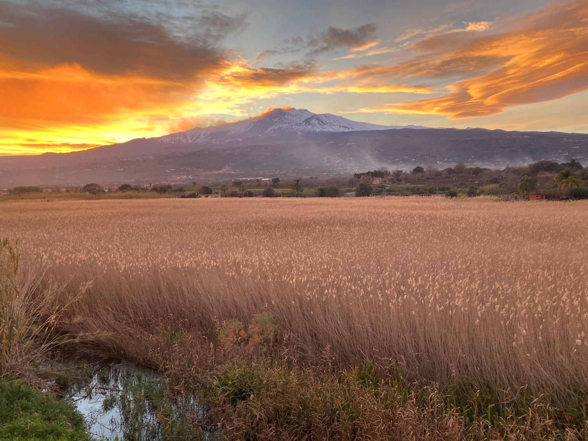 Villa Con Piscina Esclusiva Vista Etna Mascali Zewnętrze zdjęcie