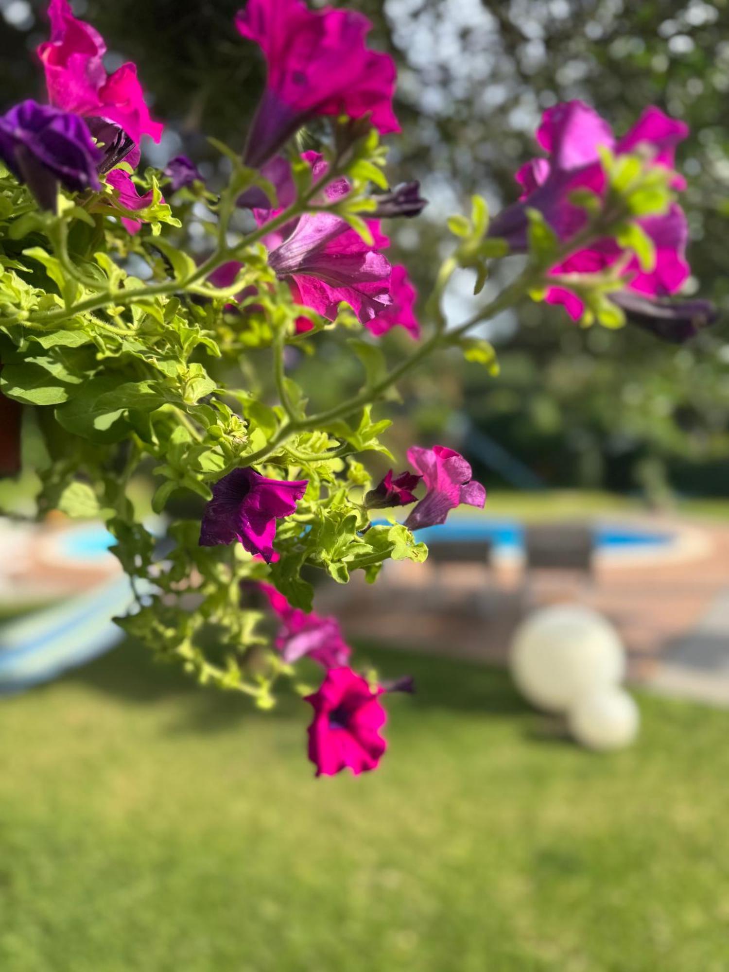 Villa Con Piscina Esclusiva Vista Etna Mascali Zewnętrze zdjęcie